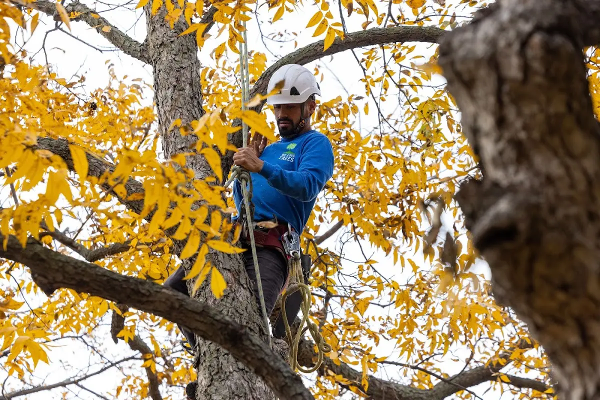 Skilled Storm Damage Cleanup crew working in Parrish