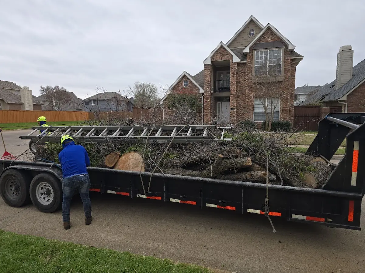 Expert Tree Pest Control with proper safety equipment in Parrish